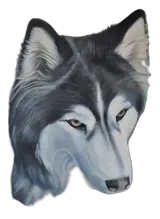 Rheinauenwölfe