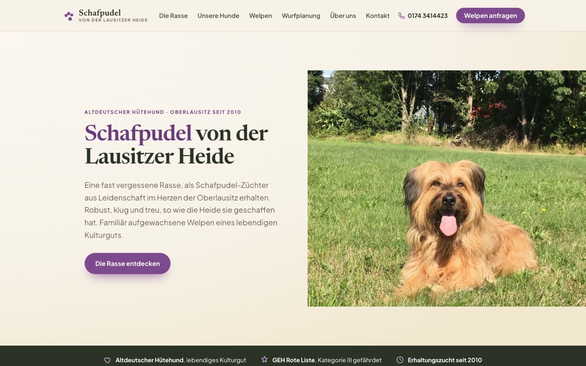 Website Schafpudel Lausitzer Heide &ndash; Desktop