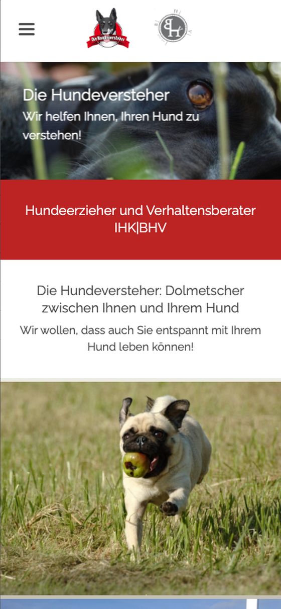 Die Hundeversteher, alte Website auf dem Handy