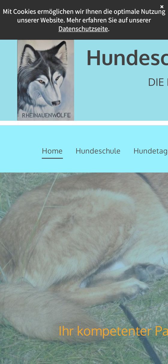 Hundeschule Rheinauenwölfe, alte Website auf dem Handy
