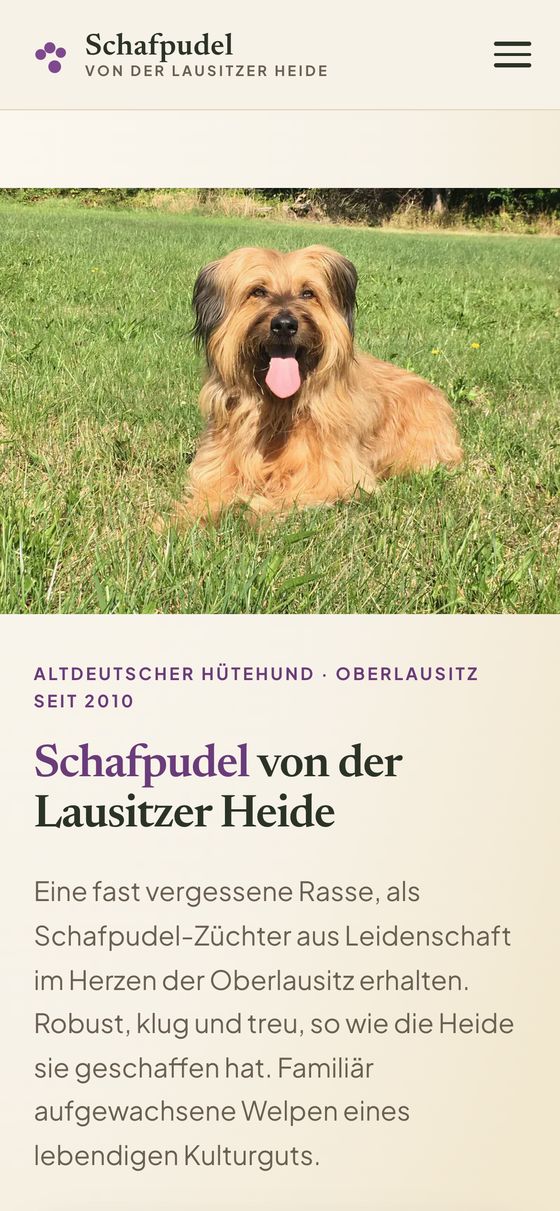 Schafpudel von der Lausitzer Heide, neue Website von Strivera auf dem Handy