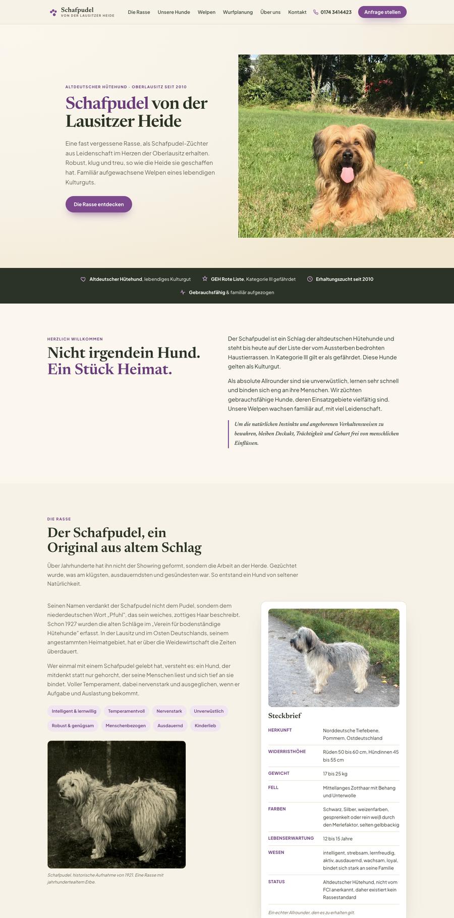 Website Schafpudel Lausitzer Heide, Teil 1