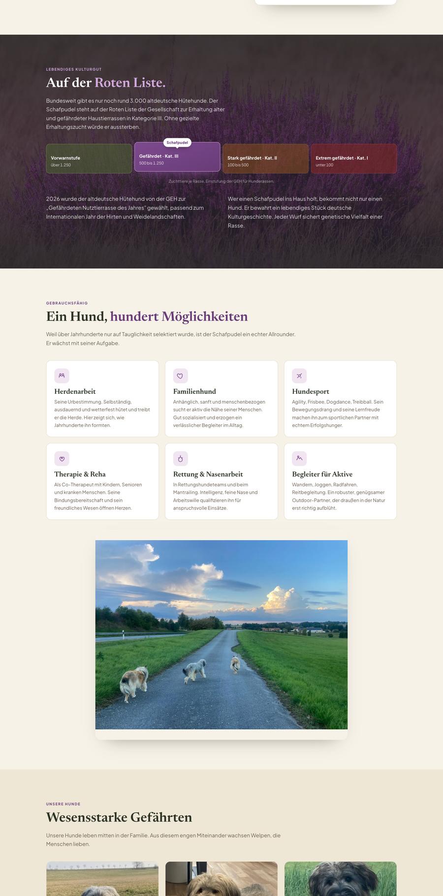 Website Schafpudel Lausitzer Heide, Teil 2