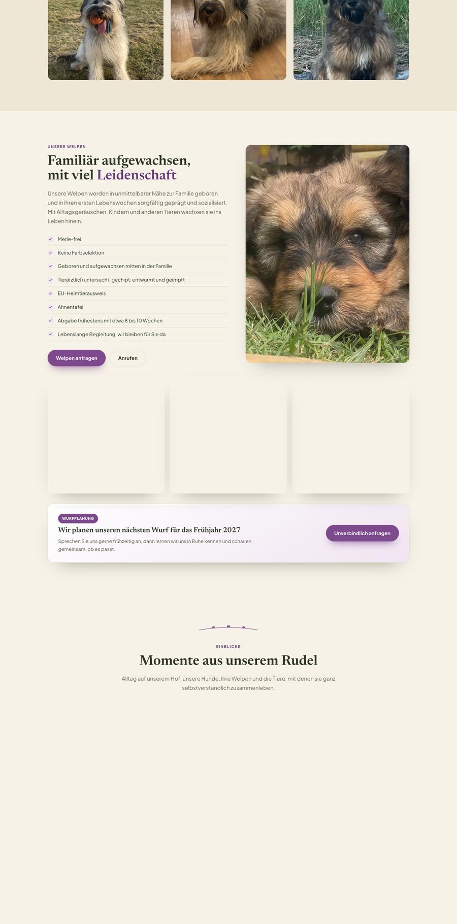 Website Schafpudel Lausitzer Heide, Teil 3